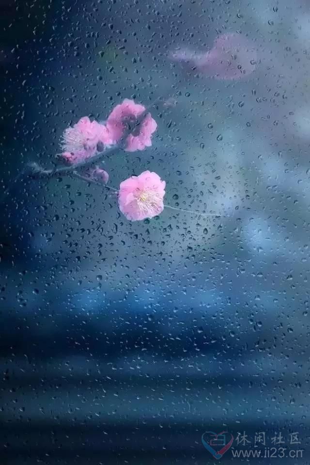 今夜,有雨敲窗,将我从睡梦中惊醒.